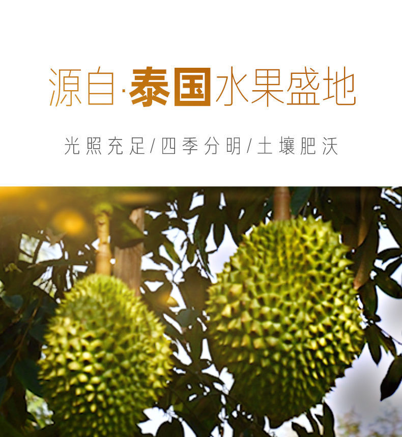 【2023年榴莲自由开启】泰国金枕头榴莲新鲜带壳热带水果